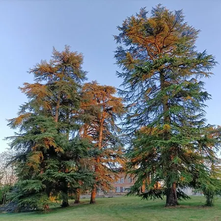 Le Jardin Des Cedres