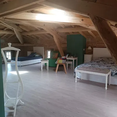 Le Jardin Des Cedres