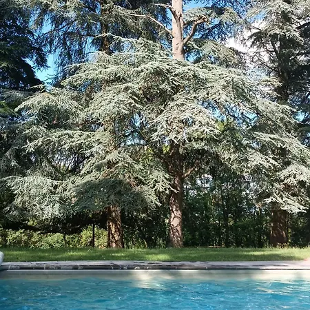 Le Jardin Des Cedres Πανσιόν Lavaur (Tarn)